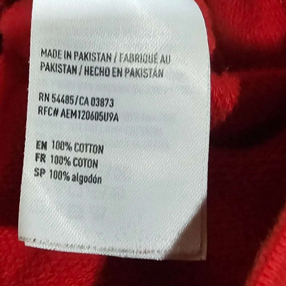 American Eagle Red Hoodie Men’s L | AE Logo Pullover | Graphic Sleeve‎